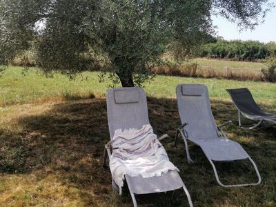 Cadre bucolique avec piscine 