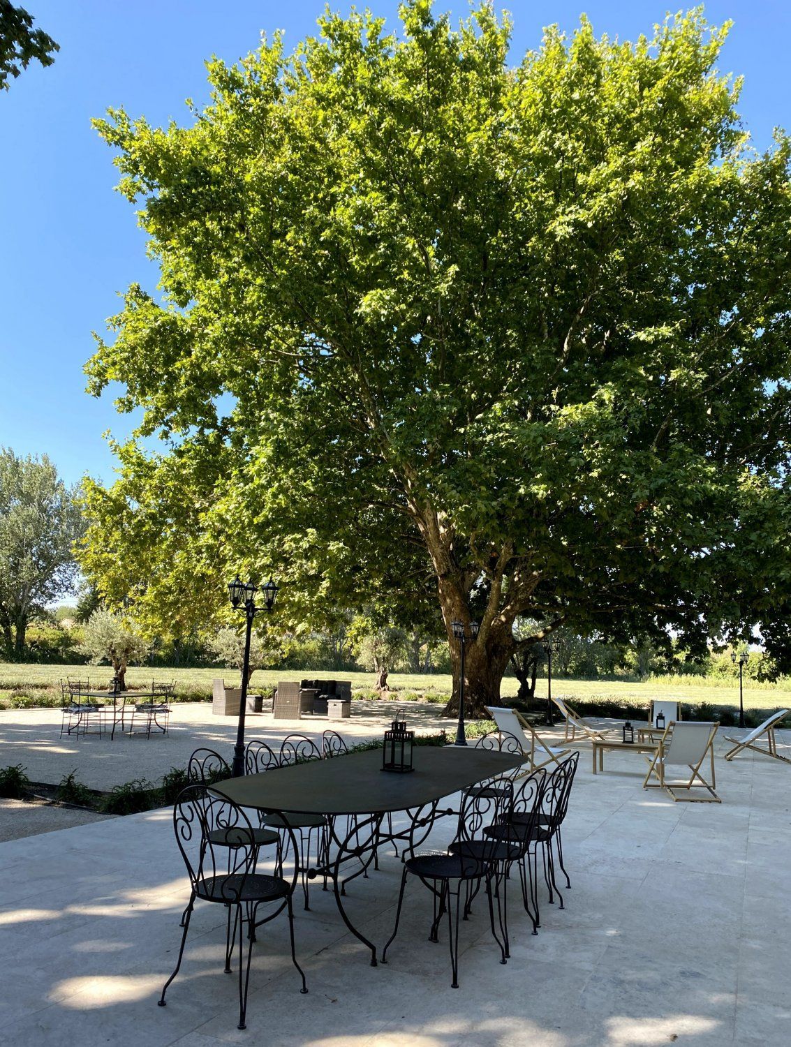 Bastide with swimming pool in lavender