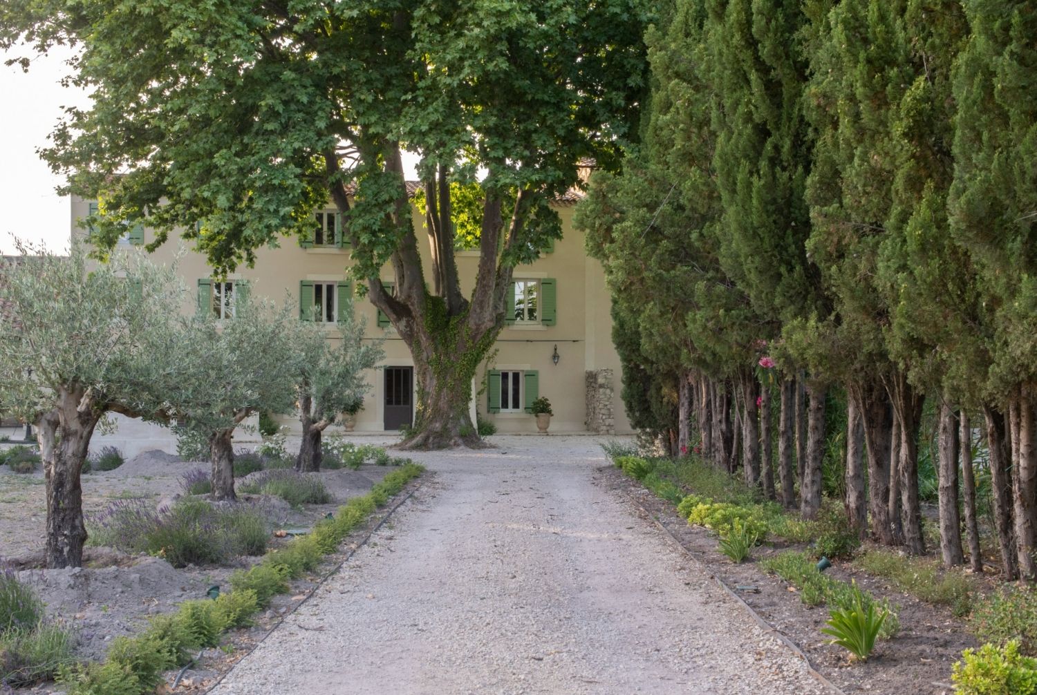 Bastide with swimming pool in lavender