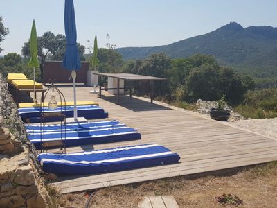 Dégustation en Pic Saint-Loup