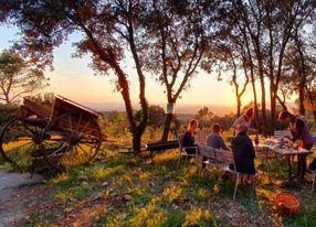 Small, intimate restaurant on the heights of Aniane