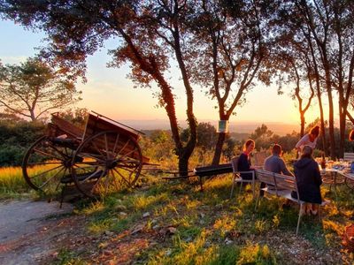 Petit restaurant intimiste sur les hauteurs d'Aniane 