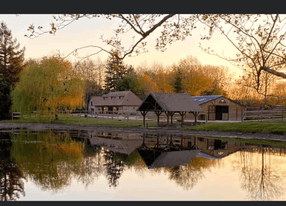 House, terrace and garden on the edge of a pond in the south of Burgundy