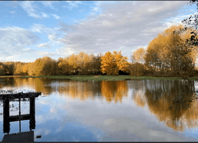 House, terrace and garden on the edge of a pond in the south of Burgundy