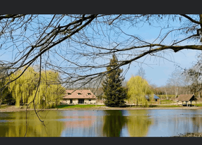 House, terrace and garden on the edge of a pond in the south of Burgundy