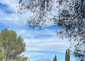 Bastide with park, swimming pool, tennis and ponds