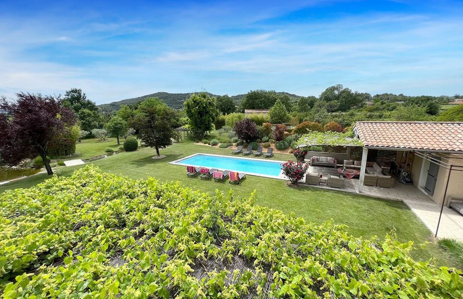 Quiet house with swimming pool