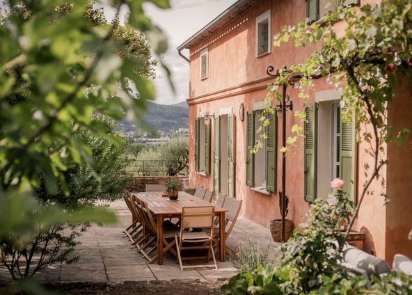 Provençal country house with swimming pool and olive grove