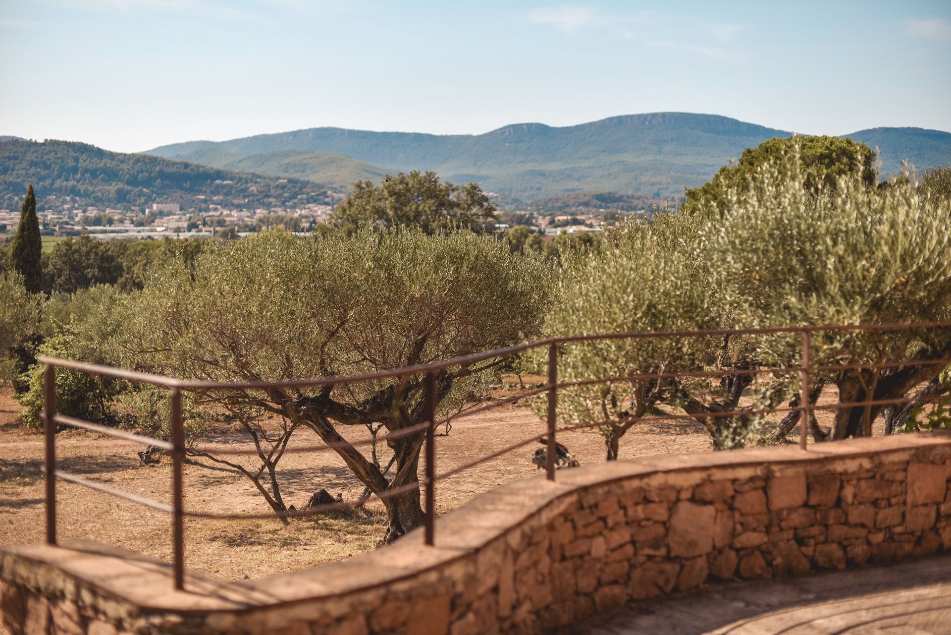 Provençal country house with swimming pool and olive grove