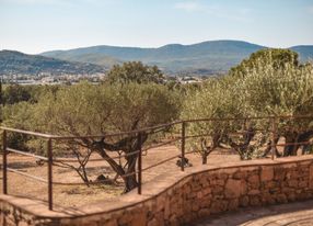 Provençal country house with swimming pool and olive grove