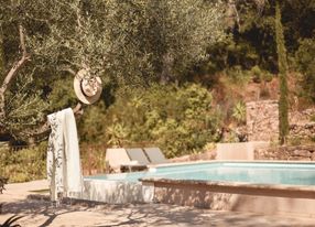 Provençal country house with swimming pool and olive grove