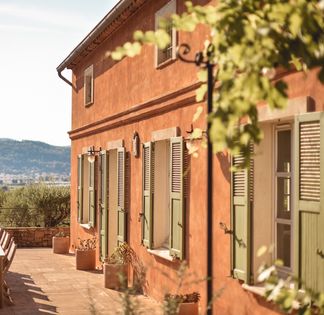 Provençal country house with swimming pool and olive grove