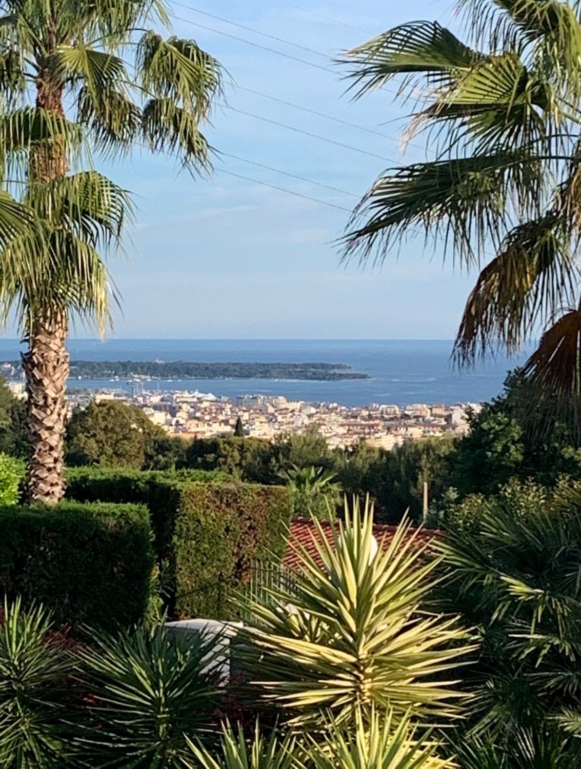 Terrace with sea view