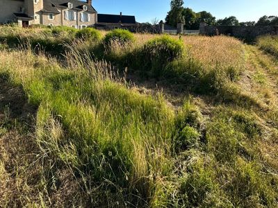Park with swimming pool and summer kitchen