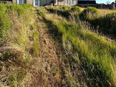 Park with swimming pool and summer kitchen