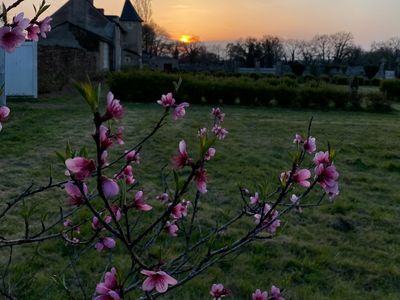 Park with swimming pool and summer kitchen