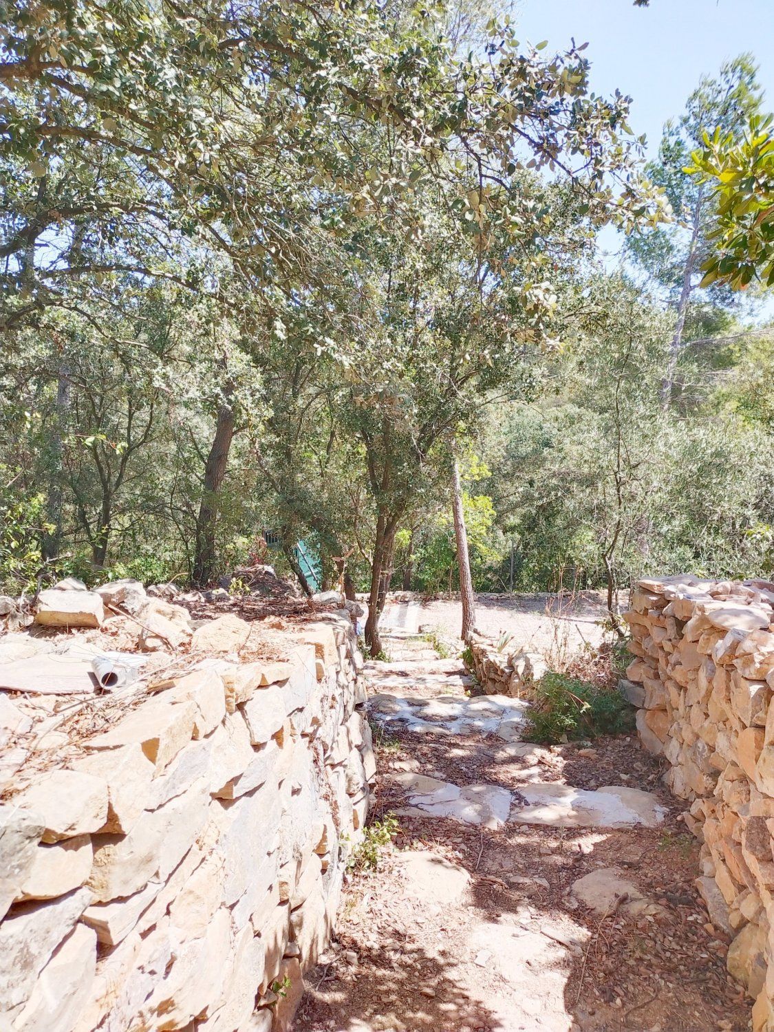 4 lodgings with SPA in the Nîmes scrubland