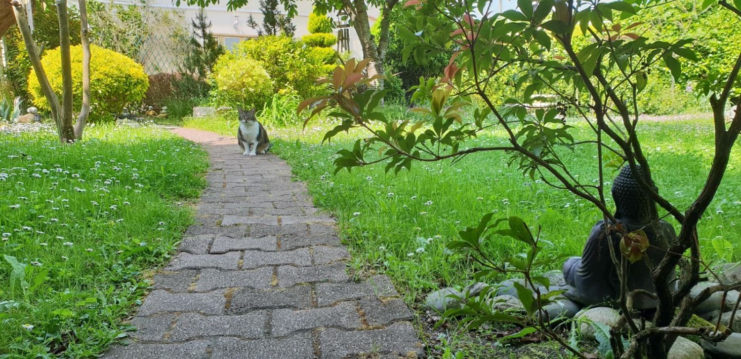 Guest house from A to ZEN