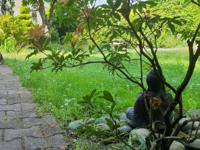 Guest house from A to ZEN