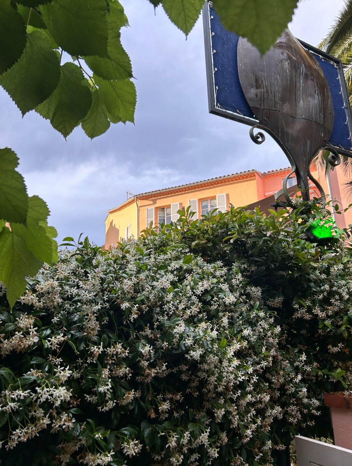 Superb garden restaurant in the heart of Saint Tropez