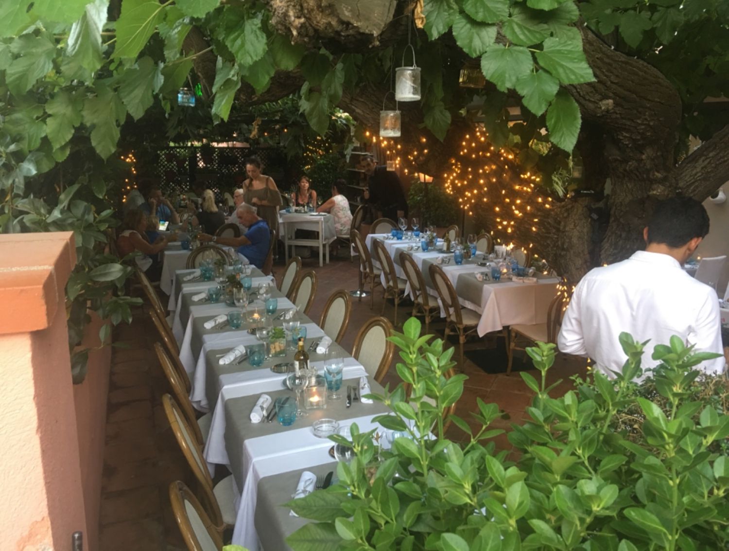 Superb garden restaurant in the heart of Saint Tropez