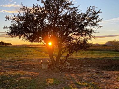 Large capacity manade