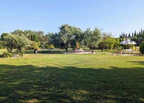 Mas with swimming pool in Luberon