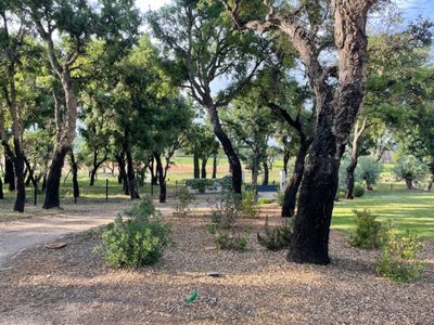 Provencal House with Pool & Garden in Saint Tropez Gulf