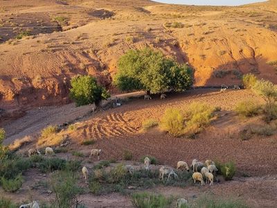 Ethno-chic house 24 km south of Marrakech