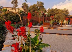 Terrace at sunset