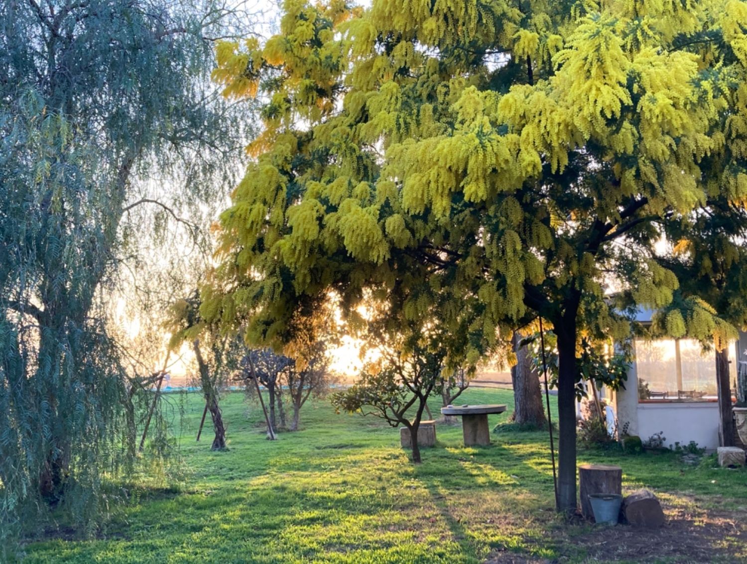 Domaine en Camargue 
