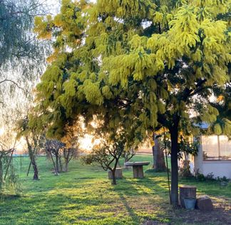 Estate in Camargue