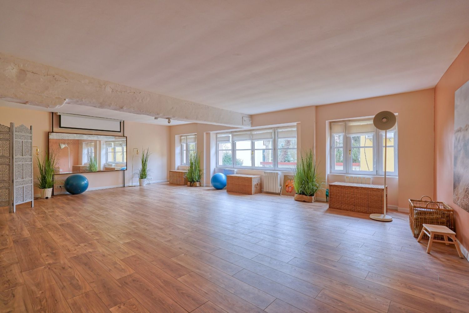 Salle de Yoga 53 m² 