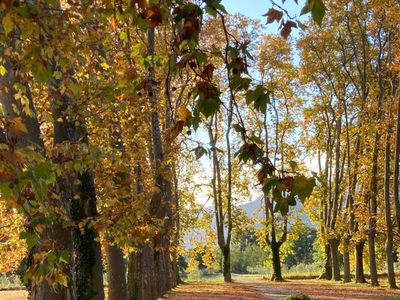 Family castle in exceptional wine estate
