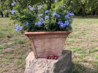 Family castle in exceptional wine estate