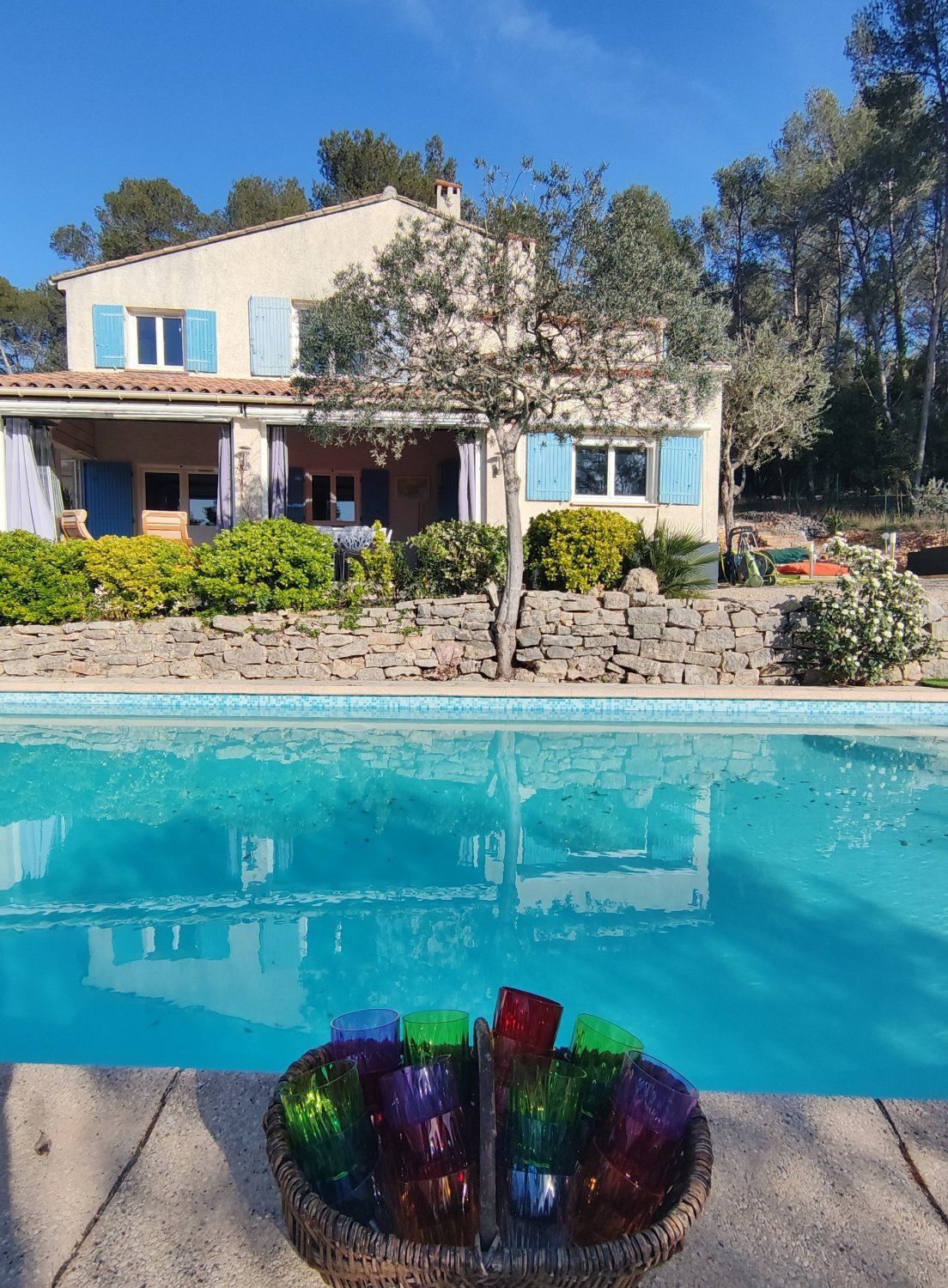 House with swimming pool in the middle of a pine forest