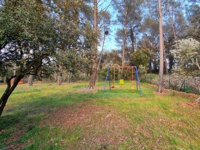 House with swimming pool in the middle of a pine forest