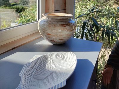 House with swimming pool in the middle of a pine forest