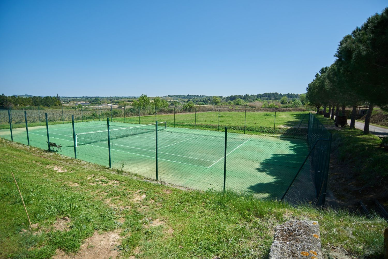 Wine estate with gîtes and exterior