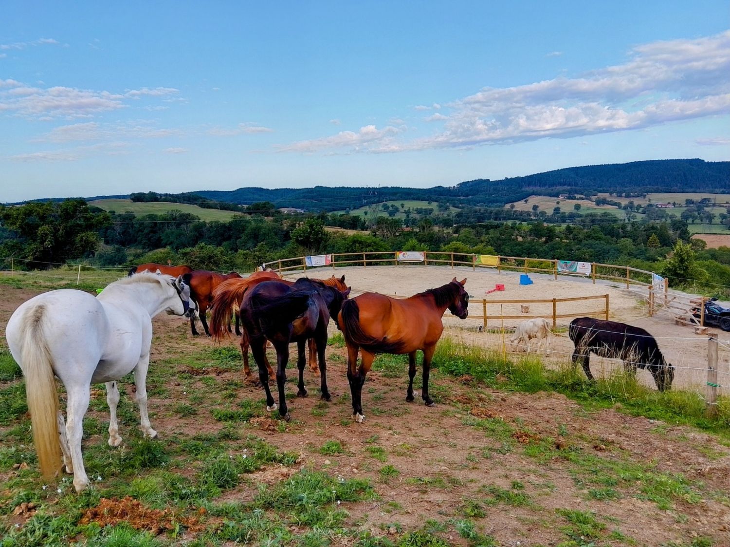 Country location with panoramic view