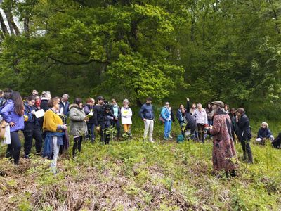 Country location with panoramic view