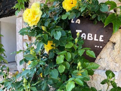 Ancien moulin à huile sur parc de 4 hectares  
