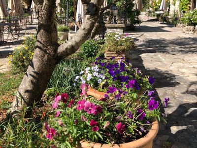 Ancien moulin à huile sur parc de 4 hectares  