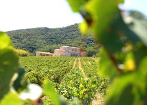 Provençal farmhouse between vineyards and woods