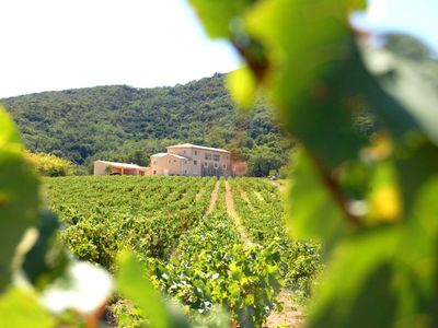 Provençal farmhouse between vineyards and woods