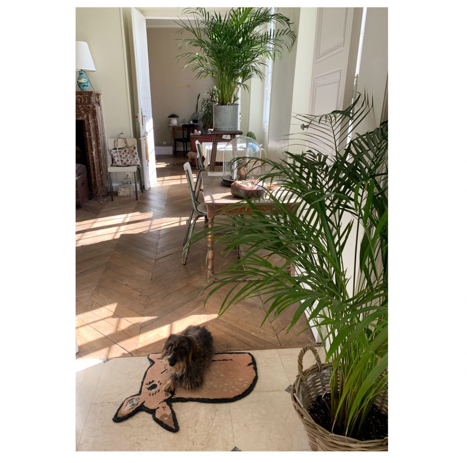 18th century bourgeois house in the heart of the city