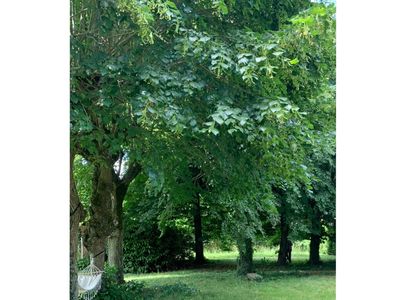 Maison bourgeoise du XVllle siècle au cœur de la ville