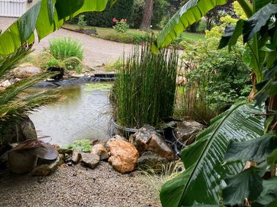 Charming house and garden with swimming pool and pool house