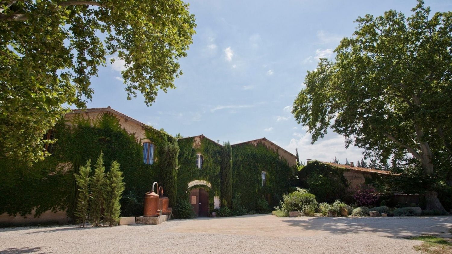 Grand jardin avec fontaine