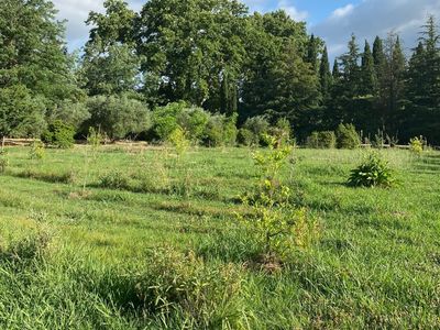 Grand jardin avec fontaine